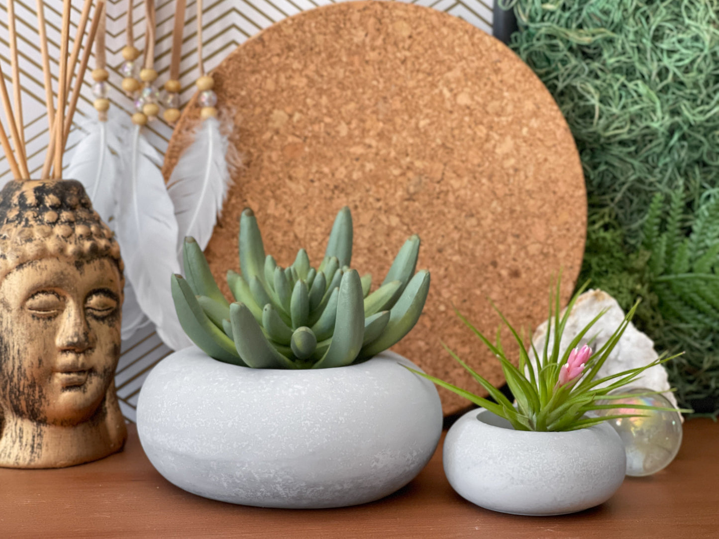 Modern Air Plant Holder