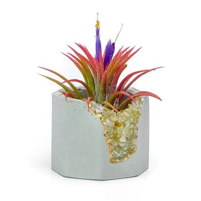 CITRINE GEODE PLANTER