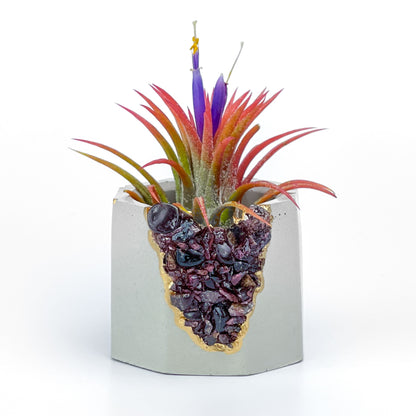 GARNET GEODE PLANTER