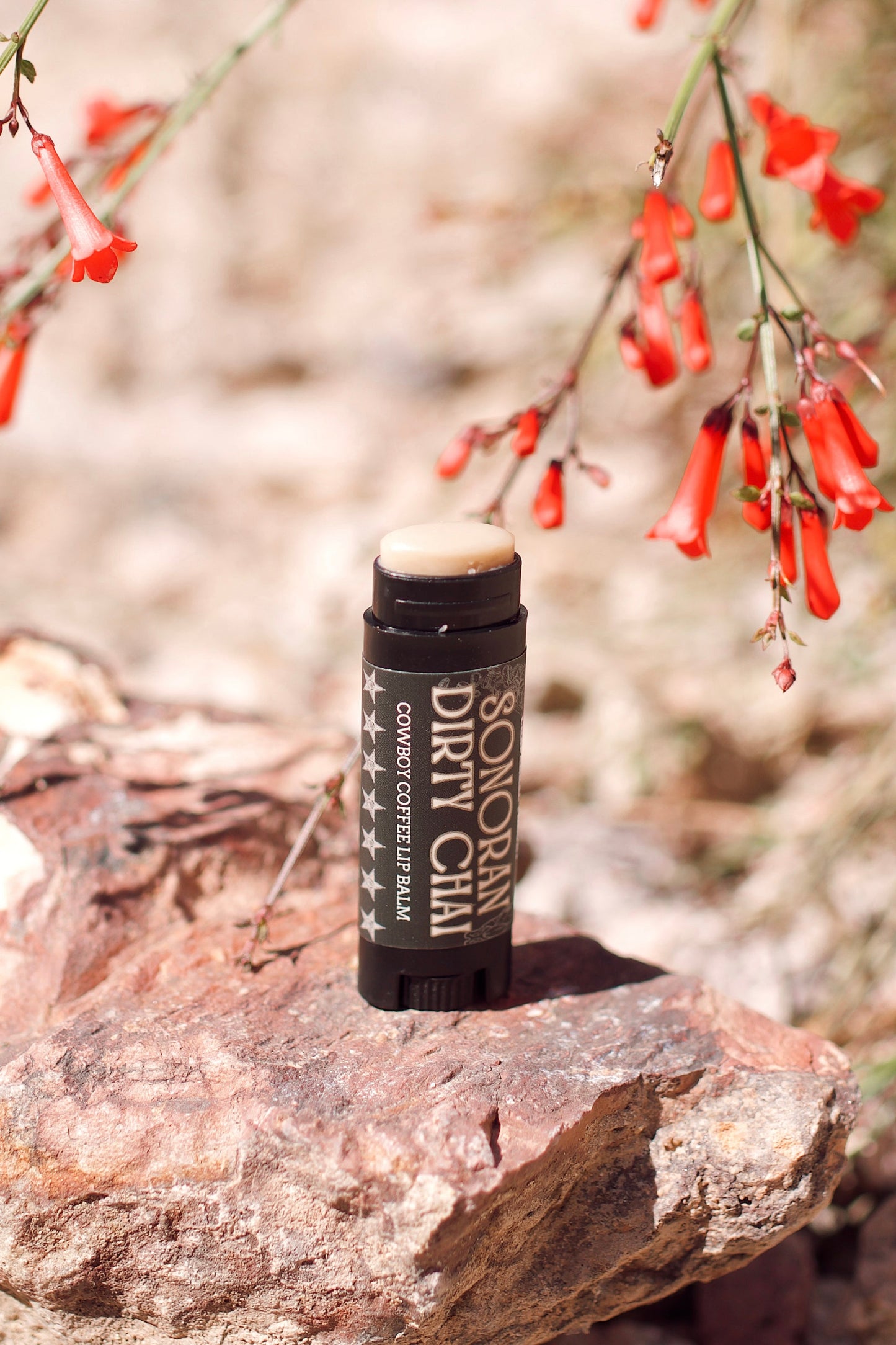SONORAN DIRTY CHAI