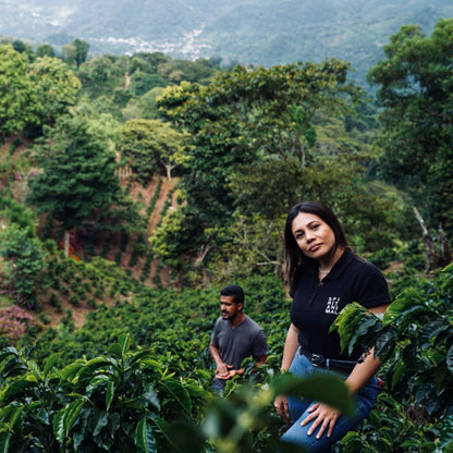 Honduras Dos Andres Gesha Washed – Light Roast Specialty Coffee