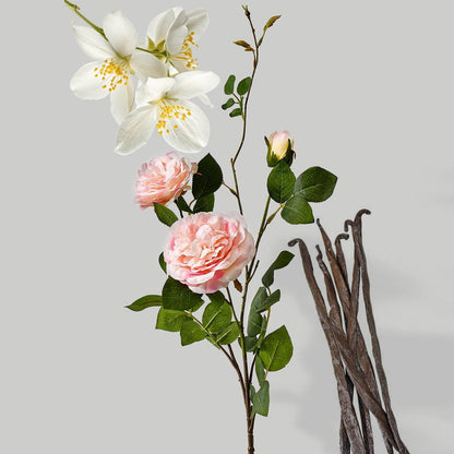 Blush Rose