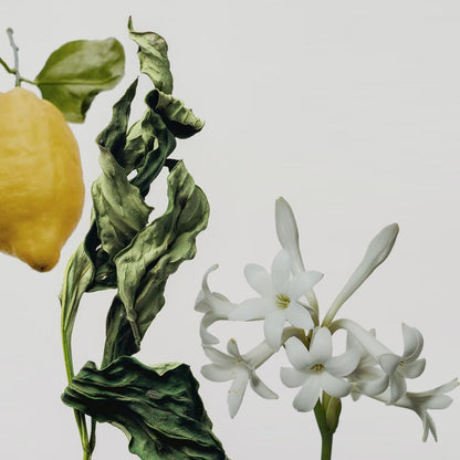 Four Seasons