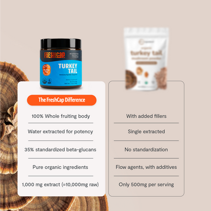 Organic Turkey Tail Mushroom Powder