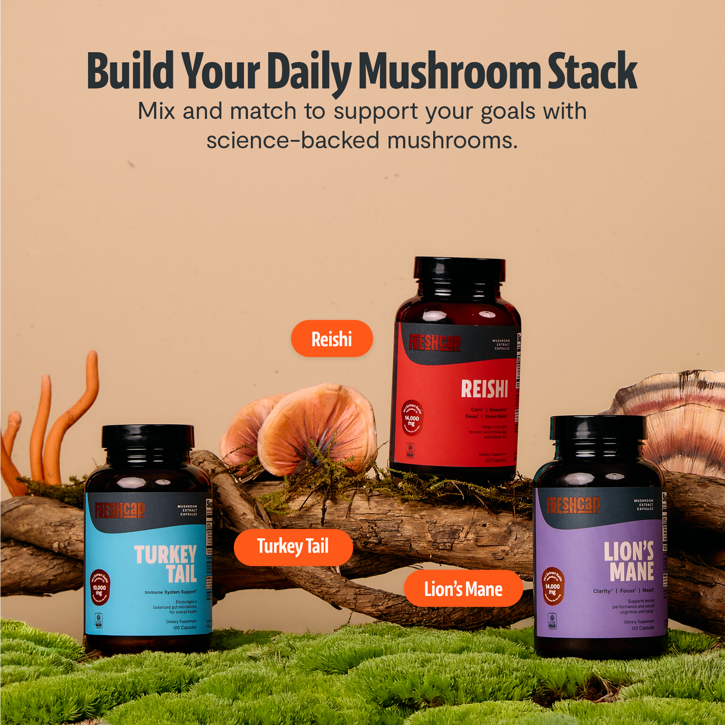 Organic Turkey Tail Mushroom Capsules