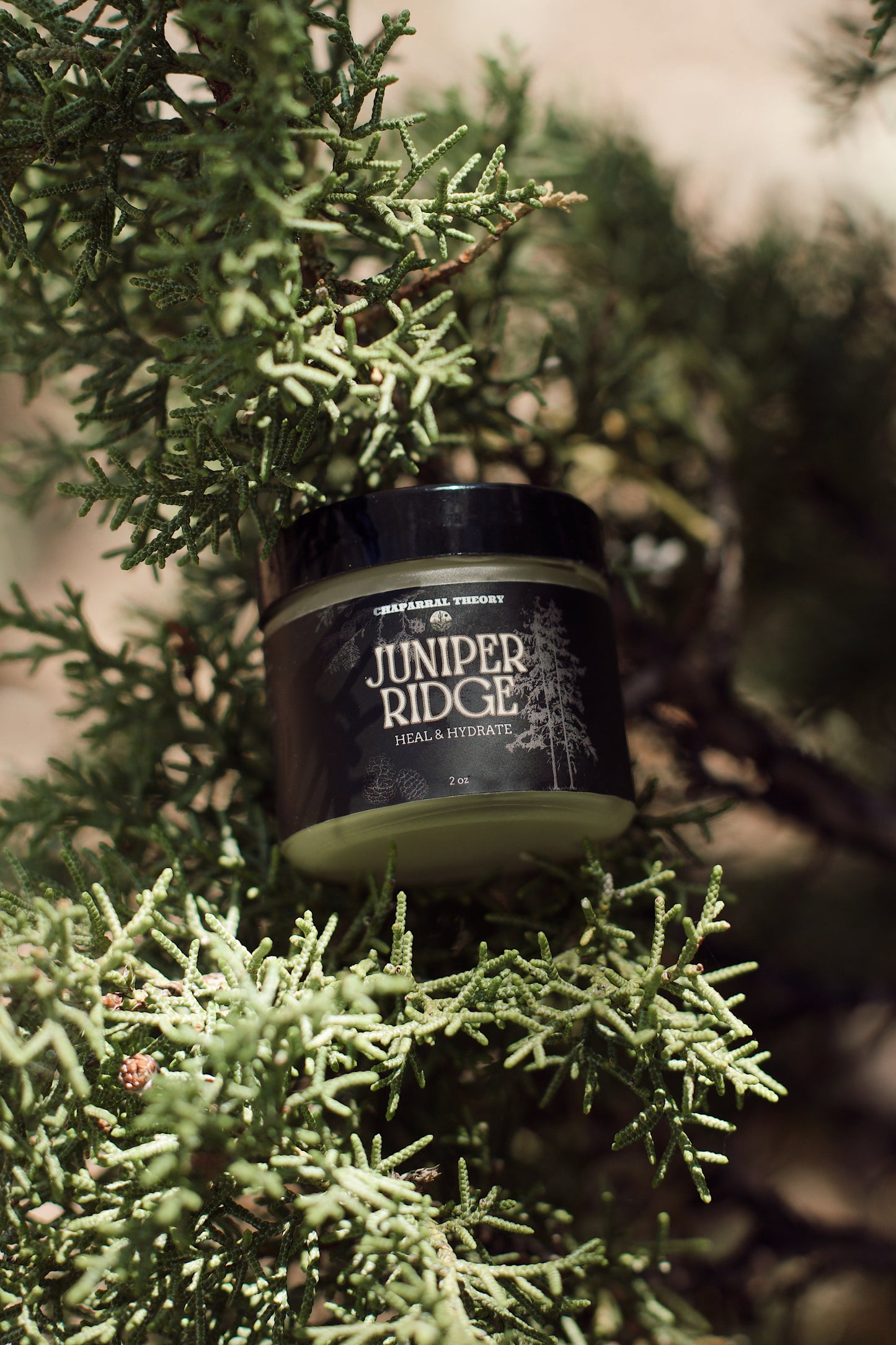 JUNIPER RIDGE