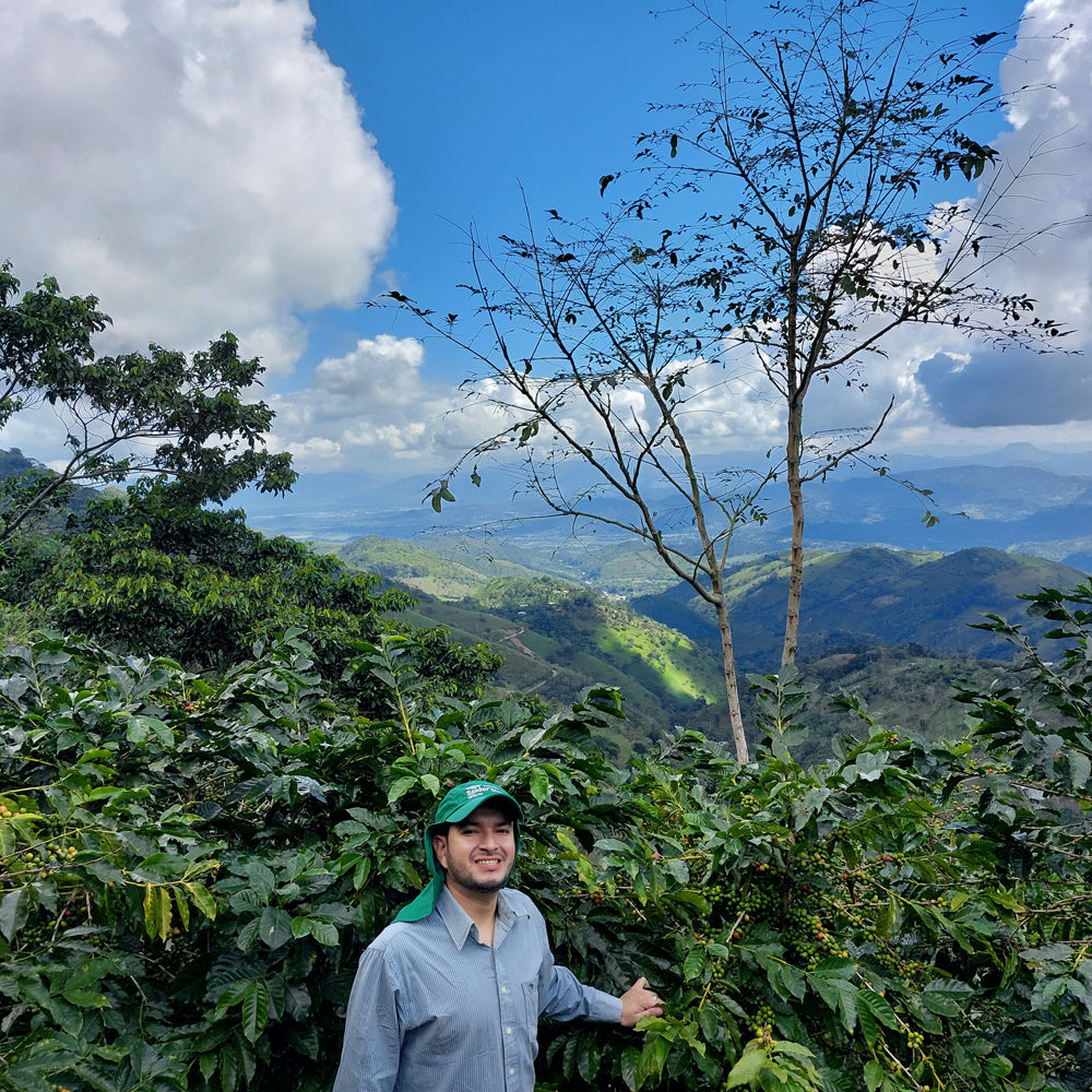 Honduran Espresso Blend – Medium-Dark Roast Specialty Coffee, 50g Sample