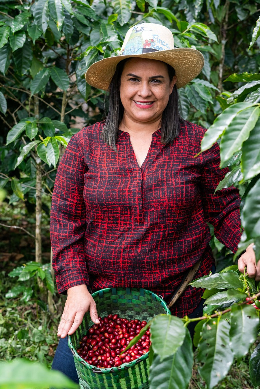 Honduras Monte Fresco Parainema Washed – Medium Roast Specialty Coffee