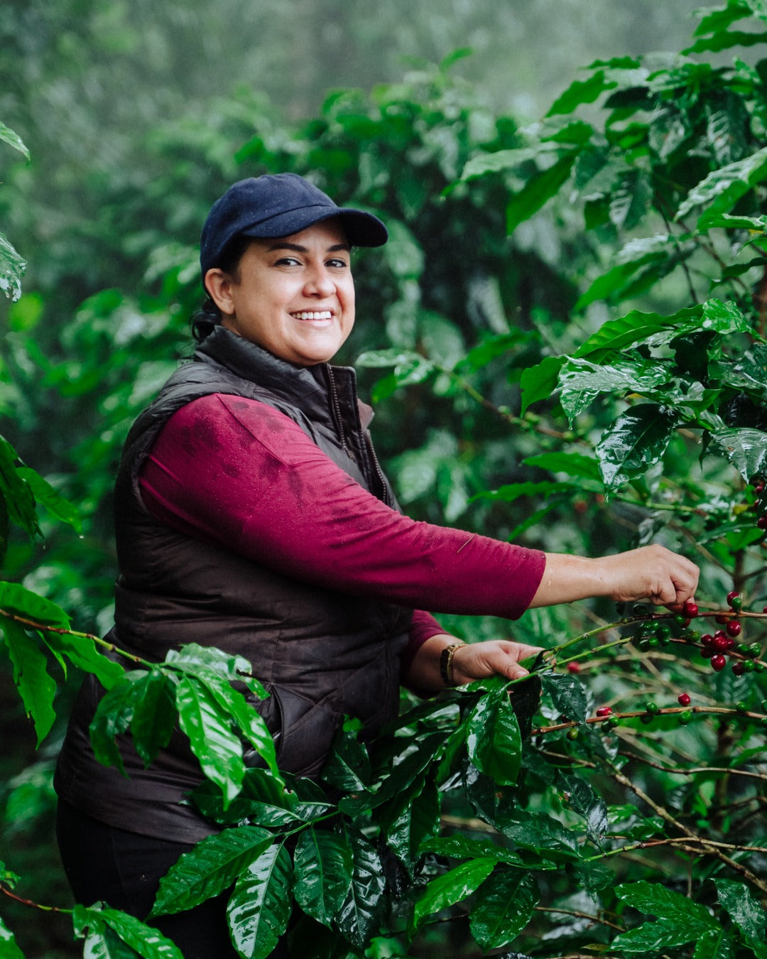 Honduras Monte Fresco Parainema Washed – Medium Roast Specialty Coffee, 50g Sample