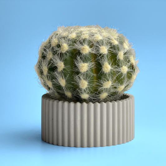 Scandinavian Air Plant Holder | Succulent Planter