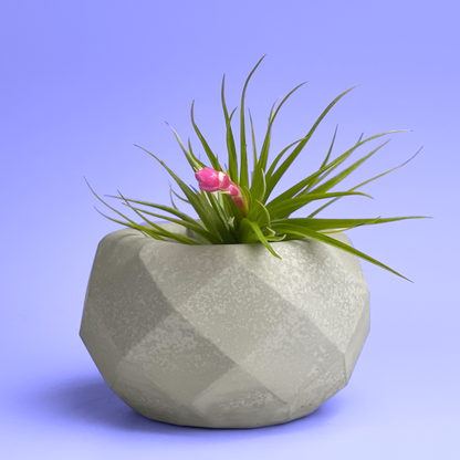 Geometric Air Plant Holder