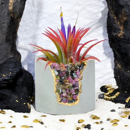 TOURMALINE GEODE PLANTER