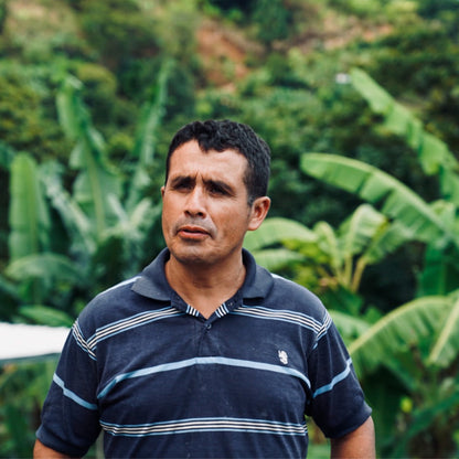 Honduras Dos Andres Gesha Washed – Light Roast Specialty Coffee, 50g Sample