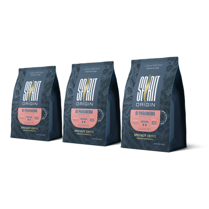 Honduras Monte Fresco Parainema Washed – Medium Roast Specialty Coffee, 3-Pack 2lb