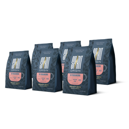 Honduras Monte Fresco Parainema Washed – Medium Roast Specialty Coffee, 6-Pack 4.5lb