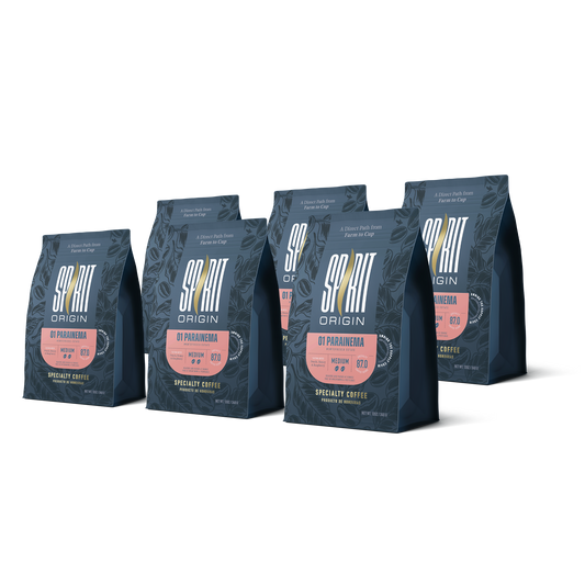 Honduras Monte Fresco Parainema Washed – Medium Roast Specialty Coffee, 6-Pack 4.5lb