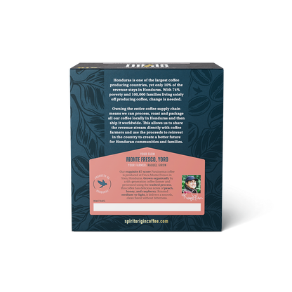 Single-Serve Pour-Over Drip Coffee Bags – Parainema Medium Roast Specialty Coffee (10-Pack)
