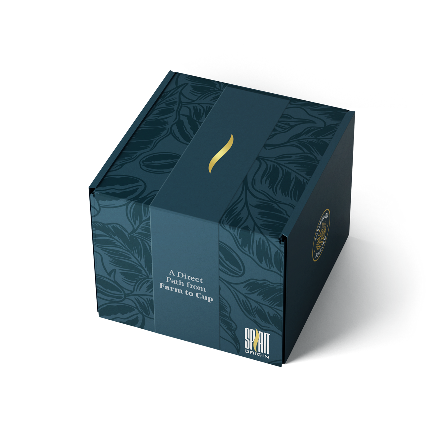Single-Serve Pour-Over Drip Coffee Bags – Parainema Medium Roast Specialty Coffee (10-Pack)