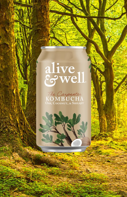 Oak & Coconut Kombucha Organic