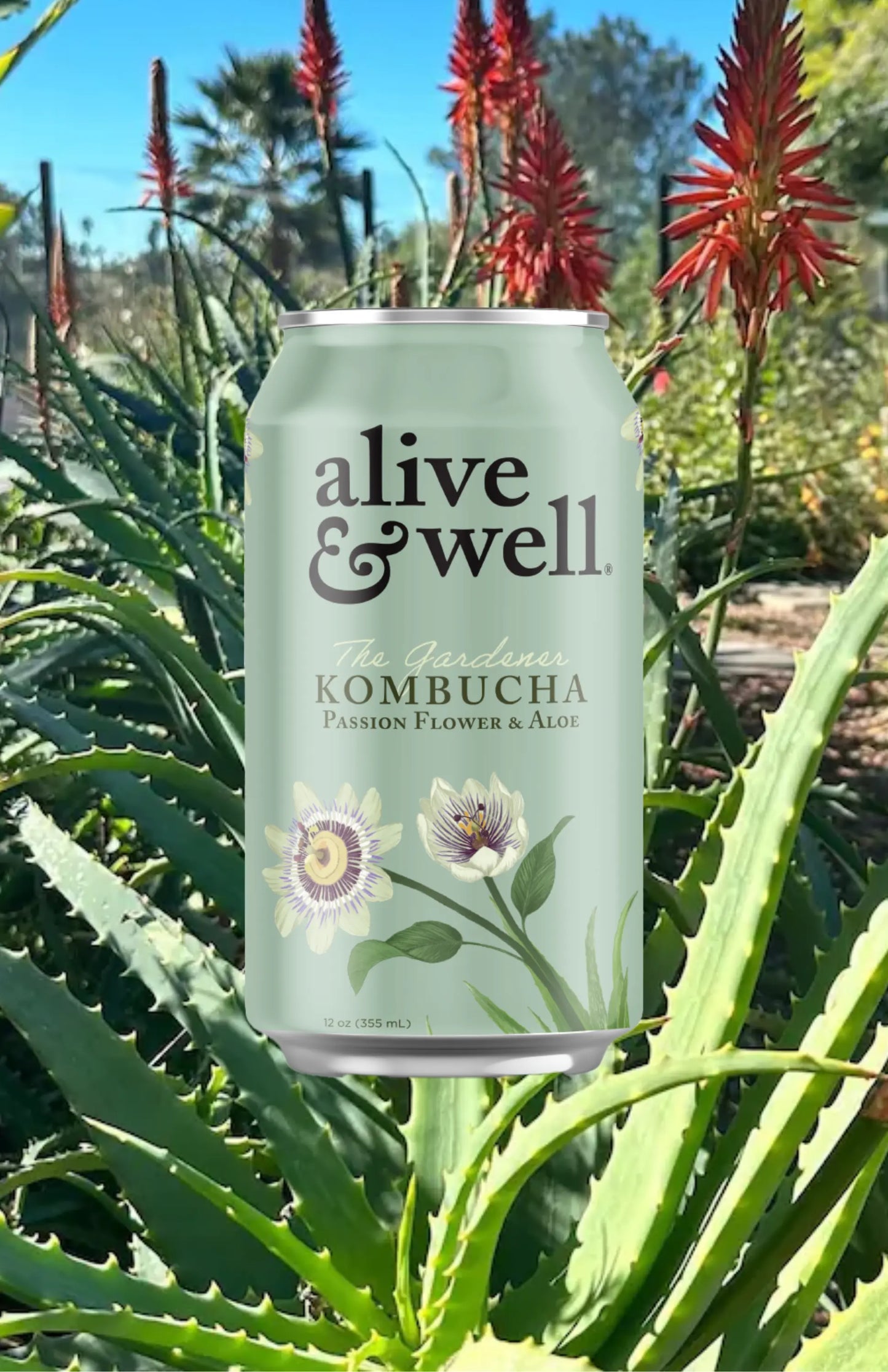 Passionflower & Aloe Kombucha Organic
