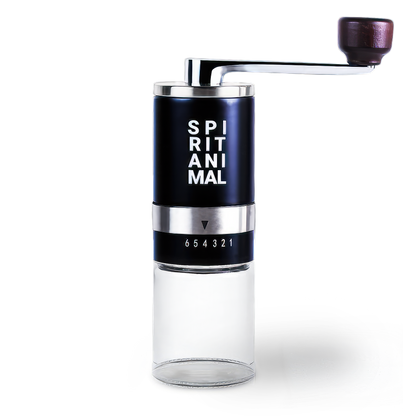 Manual Burr Coffee Grinder
