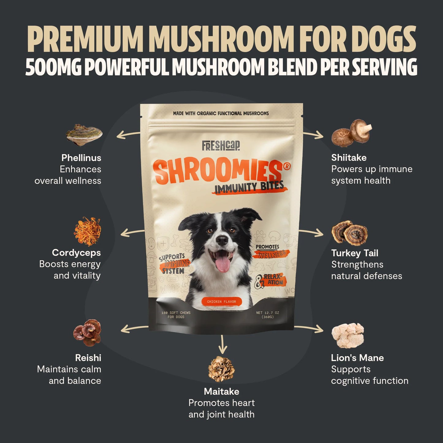 Organic Mushroom Complex for Dogs
