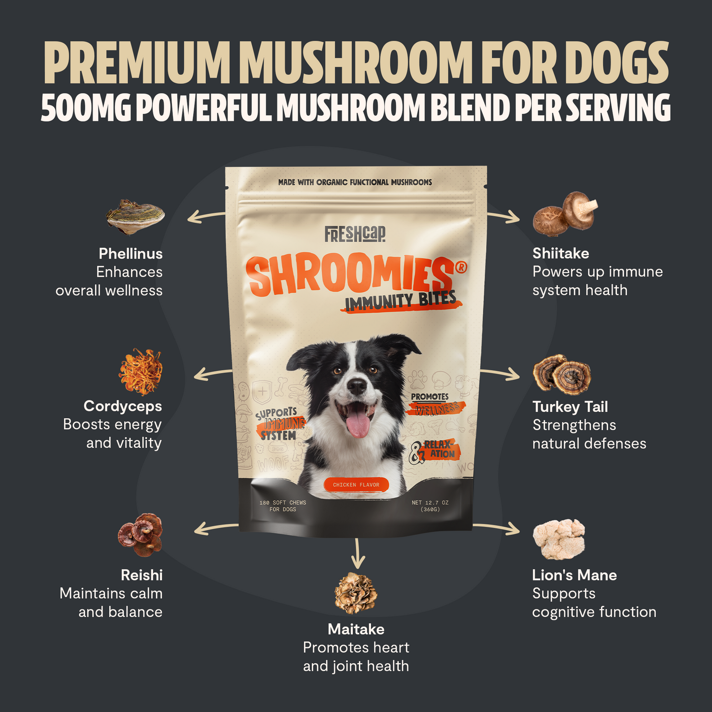 Organic Mushroom Complex for Dogs
