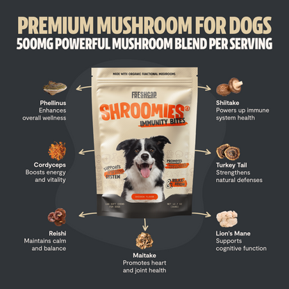 Organic Mushroom Complex for Dogs