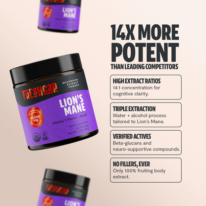 Organic Lion’s Mane Mushroom Powder