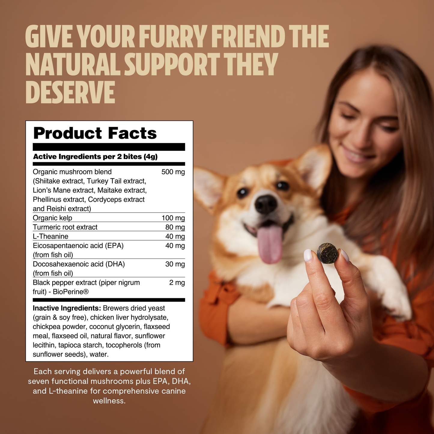 Organic Mushroom Complex for Dogs