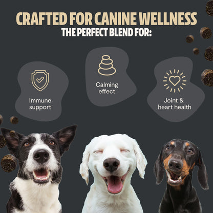 Organic Mushroom Complex for Dogs