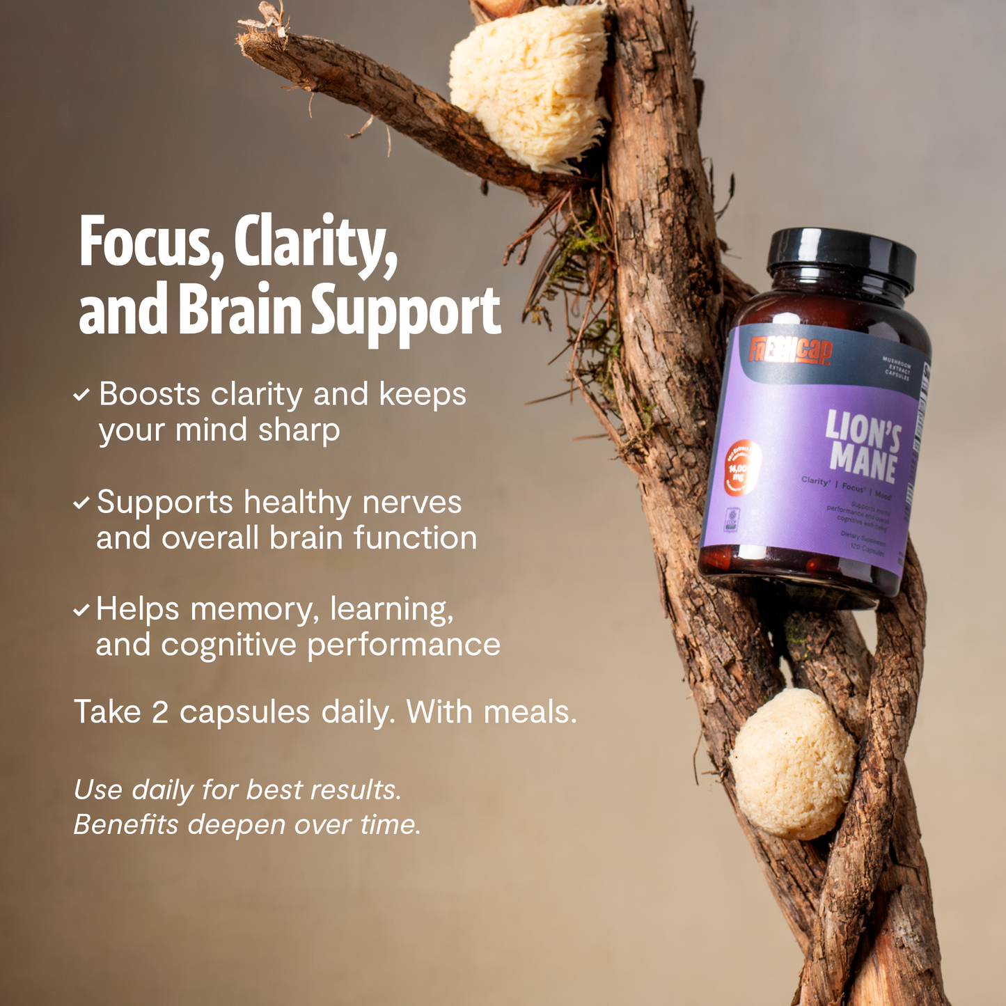 Organic Lion’s Mane Capsules