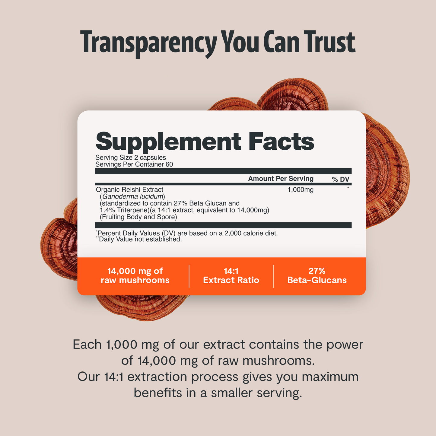 Organic Reishi Mushroom Capsules