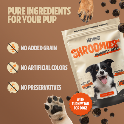 Organic Mushroom Complex for Dogs