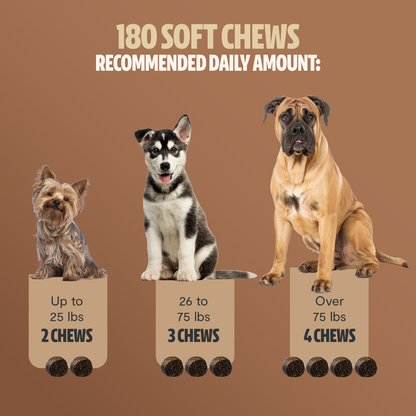 Organic Mushroom Complex for Dogs