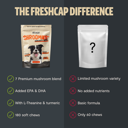 Organic Mushroom Complex for Dogs