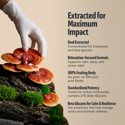 Organic Reishi Mushroom Capsules
