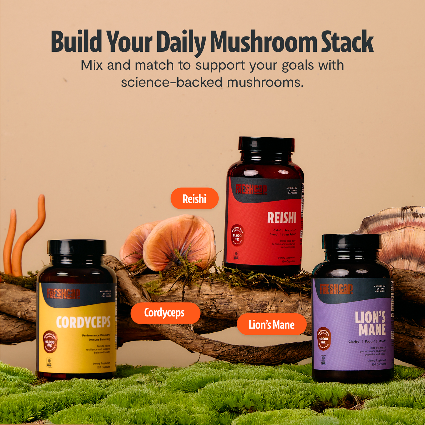 Organic Reishi Mushroom Capsules