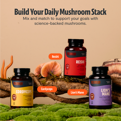Organic Reishi Mushroom Capsules