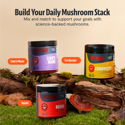 Organic Reishi Mushroom Powder