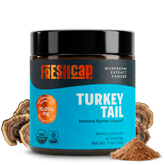 Organic Turkey Tail Mushroom Powder